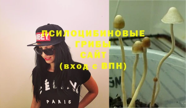 гашик Медвежьегорск