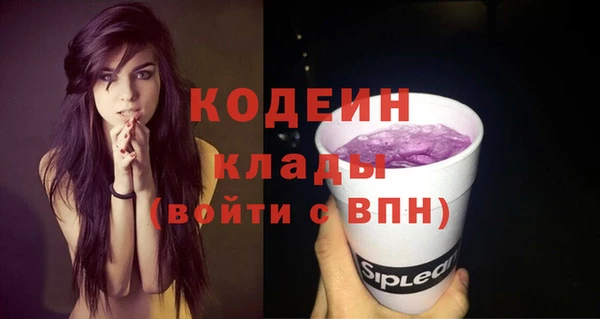 гашик Медвежьегорск