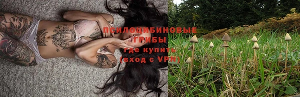 гашик Медвежьегорск